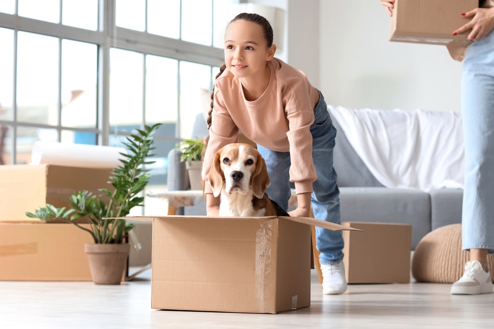 moving with pets in Nashville